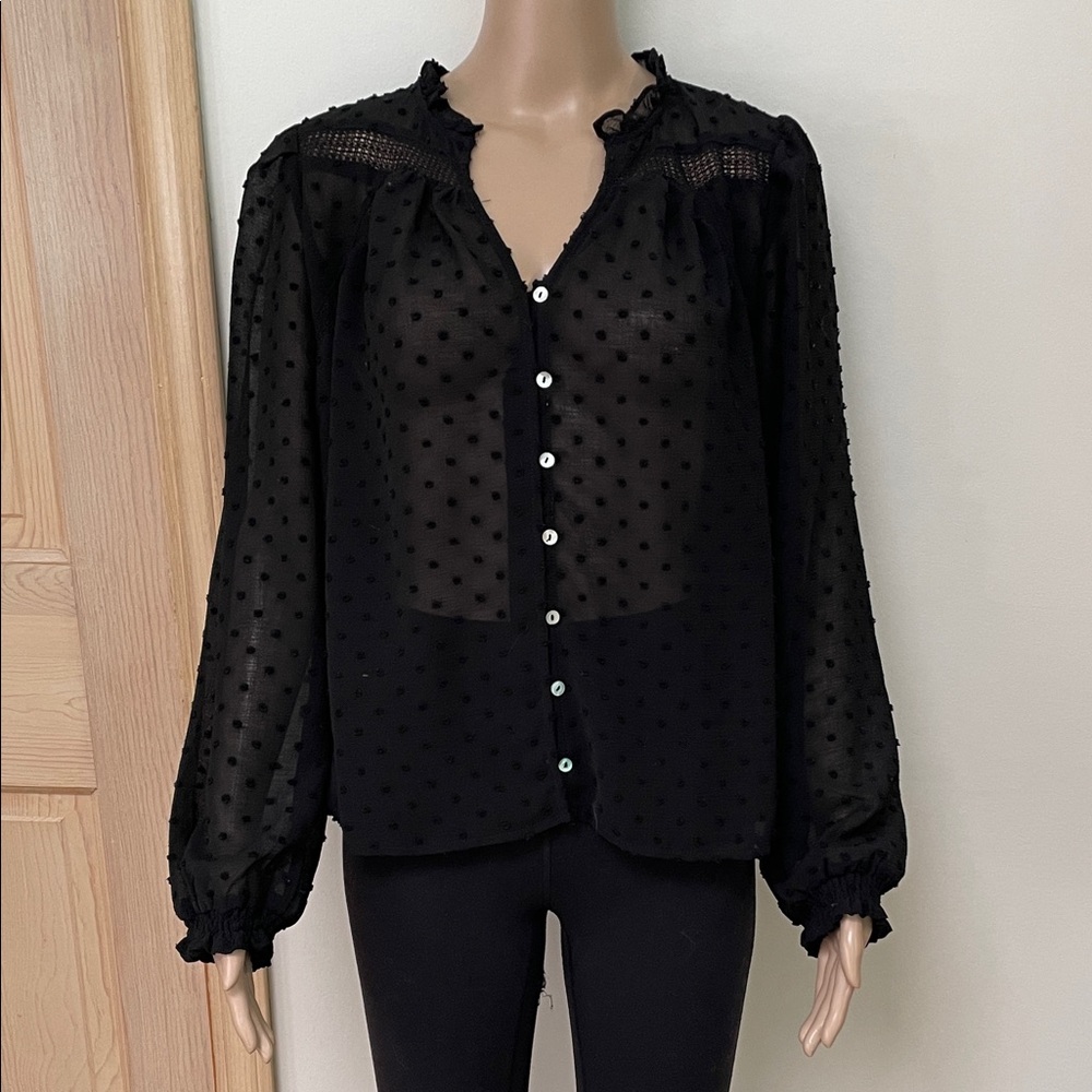 Elegant Black Sheer Blouse